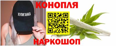 прущие грибы Партизанск