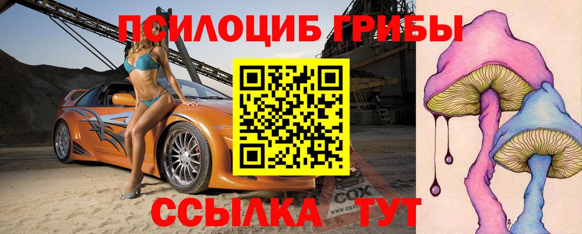 Галлюциногенные грибы Cubensis Рыбинск