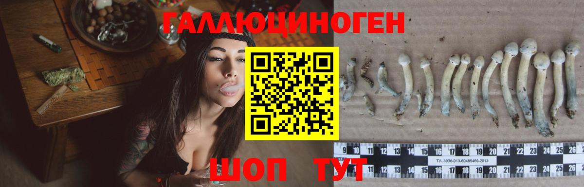 Рыбинск  Псилоцибиновые грибы мухоморы  Галлюциногенные грибы мицелий  Вход с VPN 