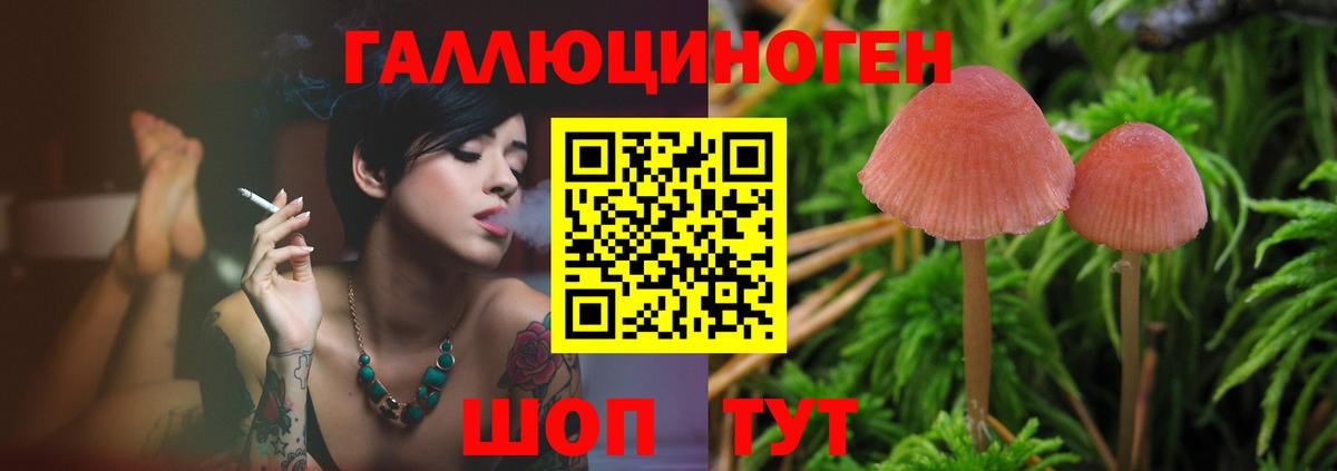 Галлюциногенные грибы Рыбинск